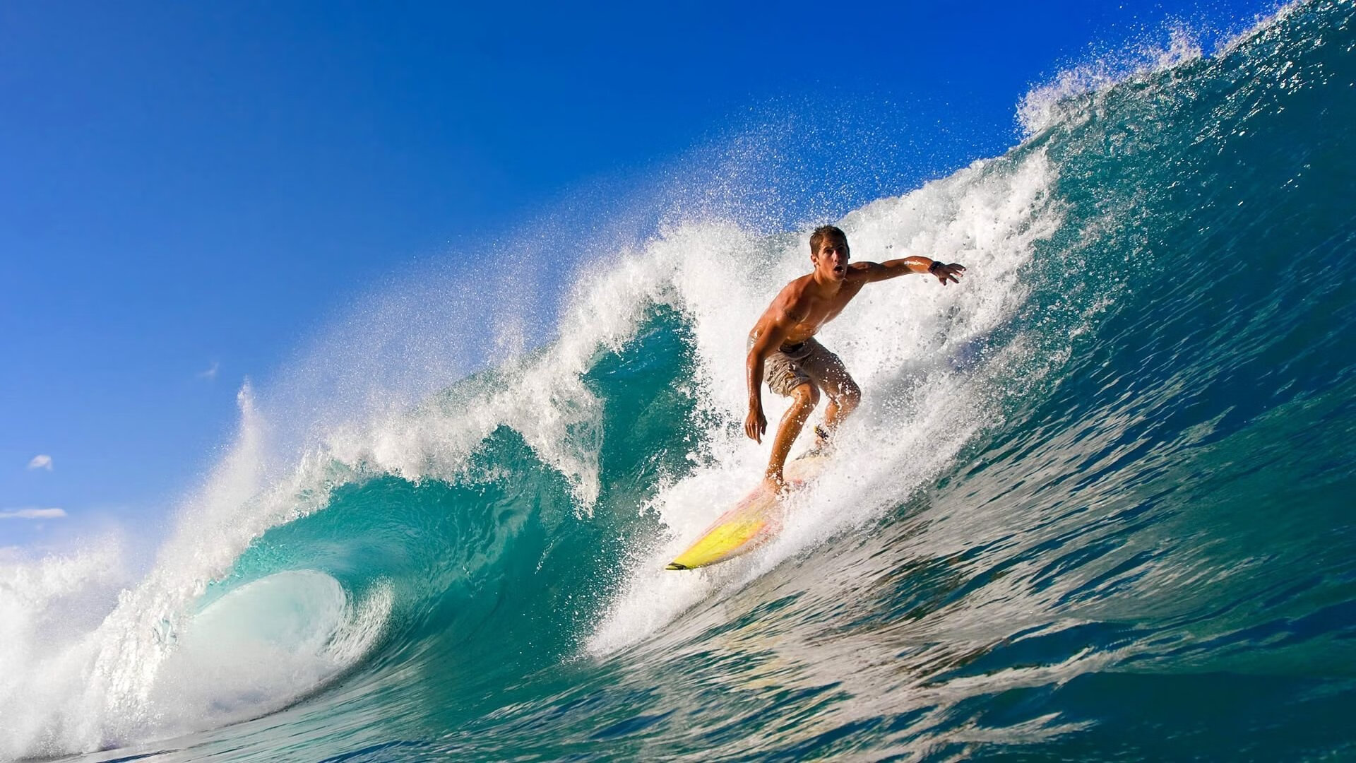 体育产业政策执行效果评估，体育产业政策概念