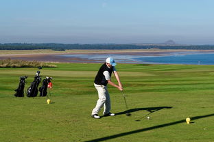 华体会登录入口-全运会男子体操单项决赛精彩纷呈，全运会男子体操单项冠军